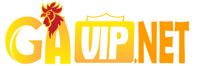 GAVIP.NET