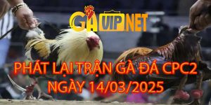 phát lại đá gà cpc2