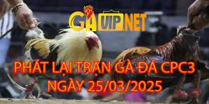 phát lại các trận cpc3 25-03