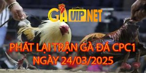 phát lại trận gà cpc 1 gavip 24-03