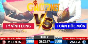 tý vĩnh long gặp toàn hốc môn