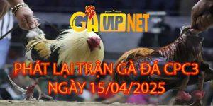PHÁT LẠI TRỰC TIẾP ĐÁ GÀ CPC3 15/4/2025