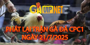 PHÁT LẠI TRỰC TIẾP ĐÁ GÀ CPC2 21/7/2025