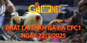 PHÁT LẠI TRỰC TIẾP ĐÁ GÀ CPC1 22/7/2025