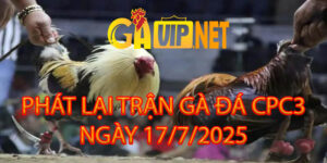PHÁT LẠI TRỰC TIẾP ĐÁ GÀ CPC2 17/7/2025