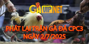 PHÁT LẠI TRỰC TIẾP ĐÁ GÀ CPC3 2/7/2025