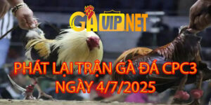 PHÁT LẠI TRỰC TIẾP ĐÁ GÀ CPC3 4/7/2025