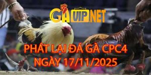 PHÁT LẠI ĐÁ GÀ CPC4 17/11/2025